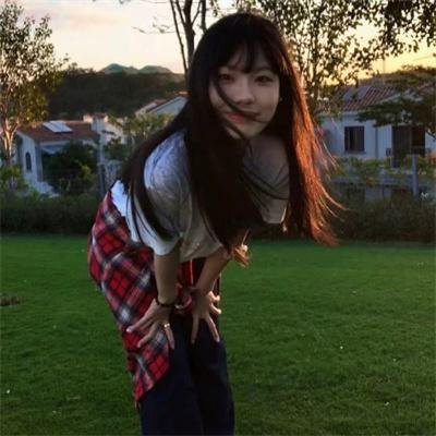 紫苑草